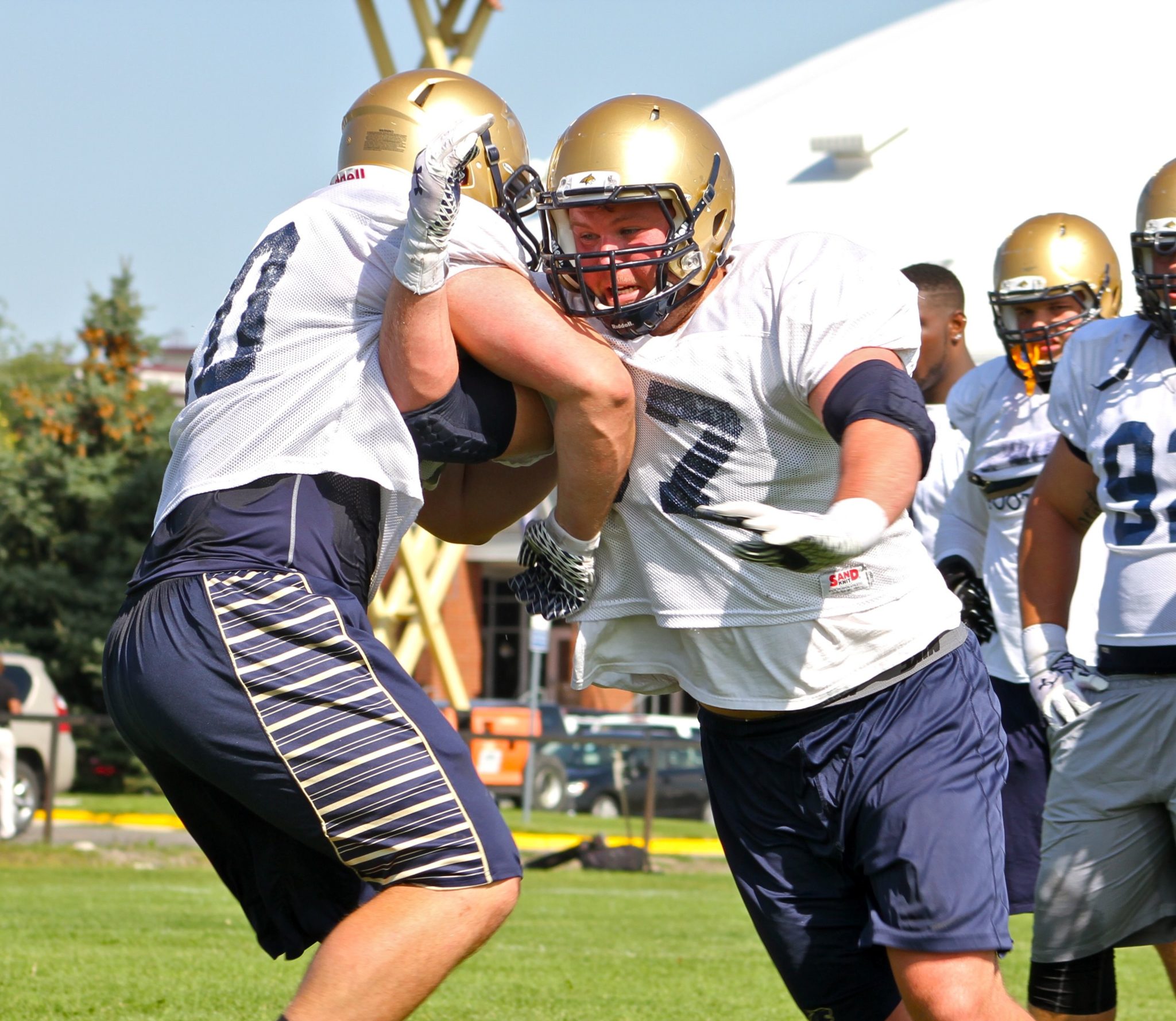 Pair of Kalispell products thriving on interior for ‘Cats Skyline Sports