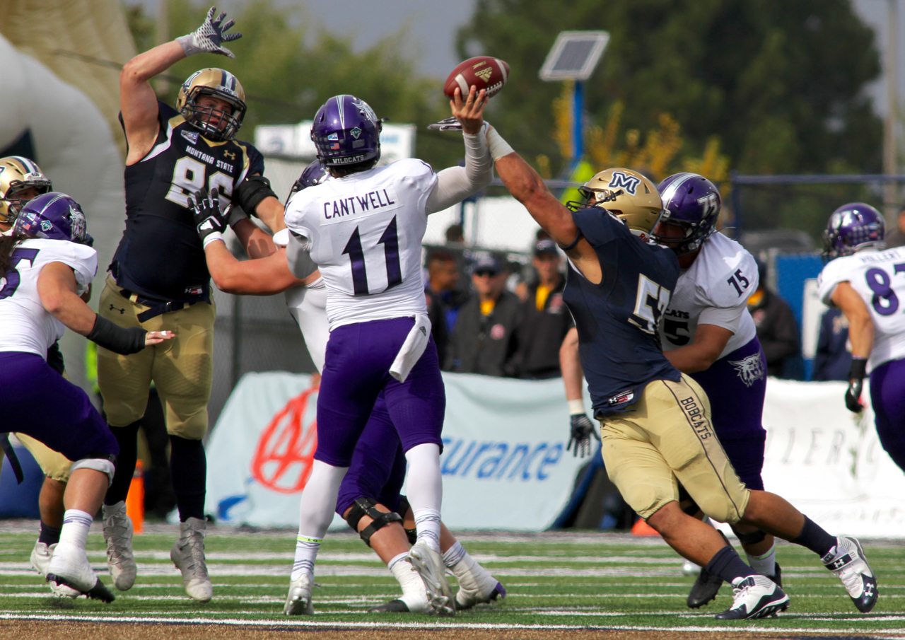 Bobcats will celebrate 10 stalwart seniors on Saturday Skyline Sports