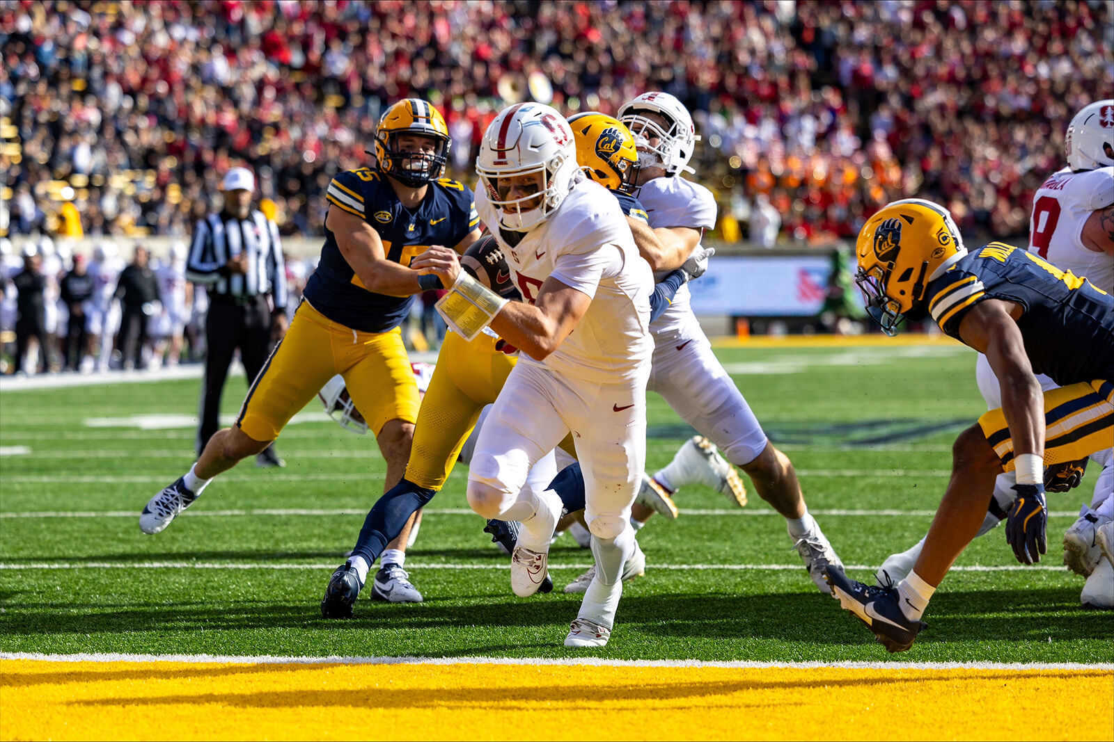 Lamson acclimates quickly to leading role as transfer into Montana State –  Skyline Sports