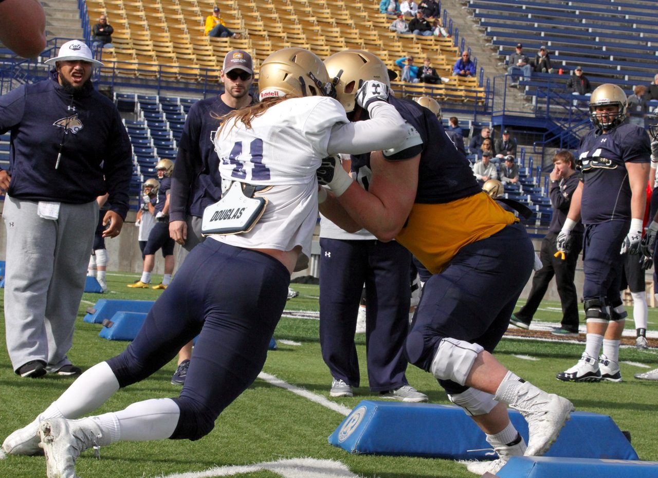 MSU defensive end Grant Collins (41) and Alex Neale in a cross over drill
