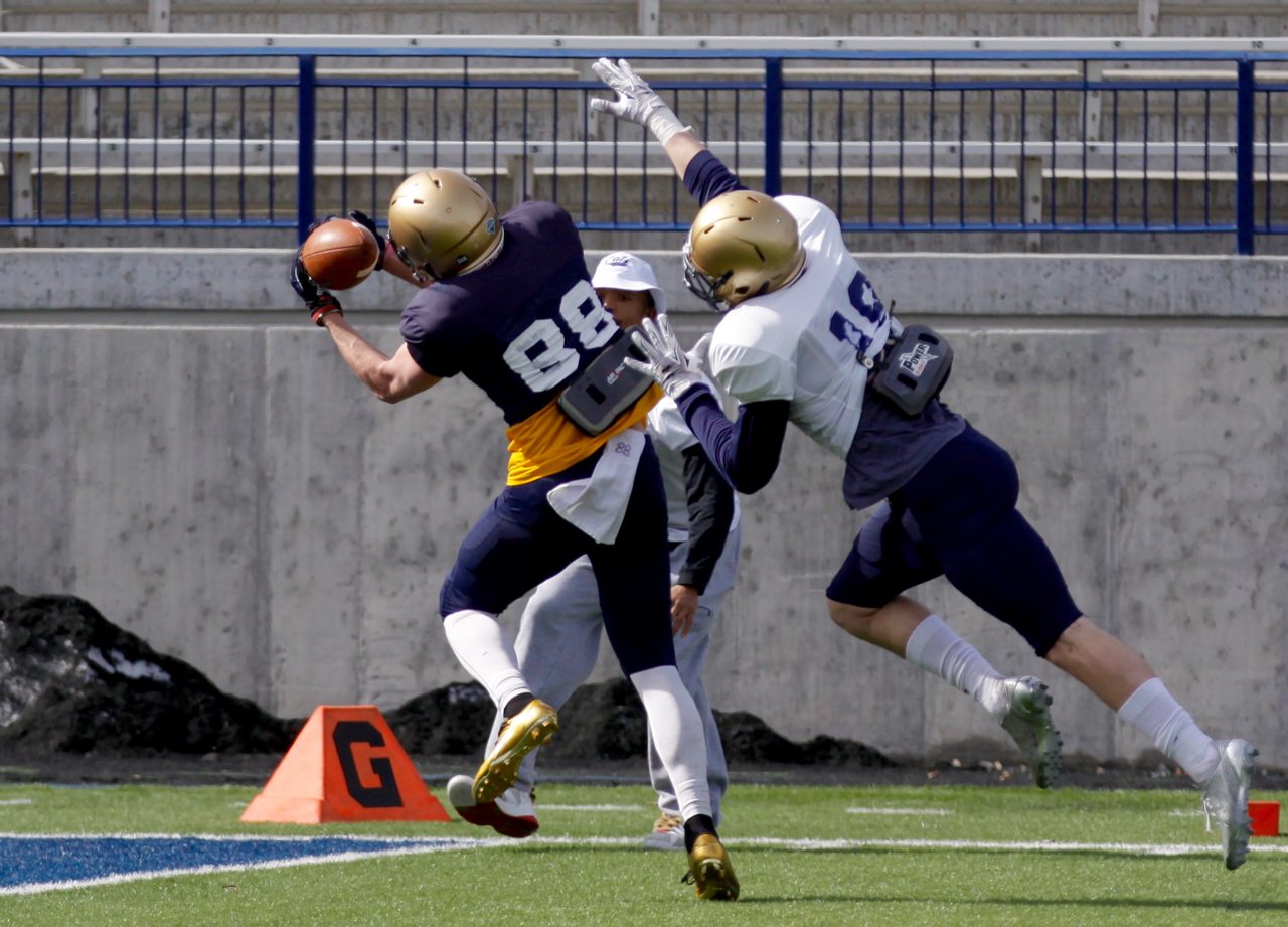 MSU receiver John D'Agostino (88) catches a TD on safety Brayden Konkol (18)