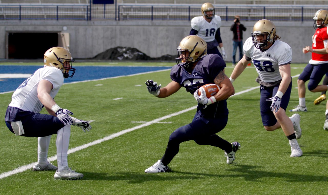 MSU running back Nick LaSane (23) looks for space against Bobcat defenders