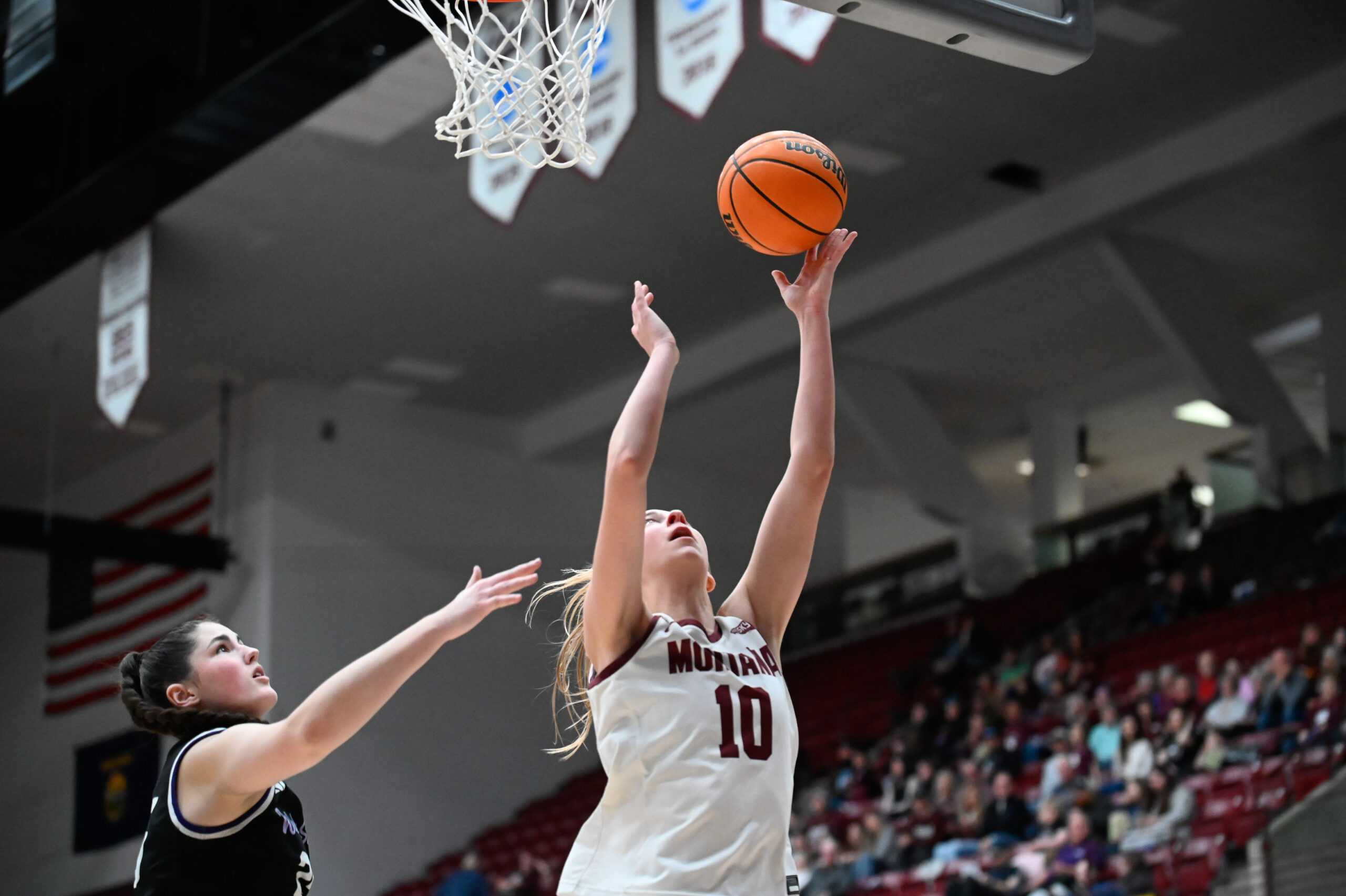 Montana's Avery Waddington