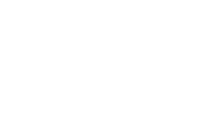 Skyline Sports - logo in all white