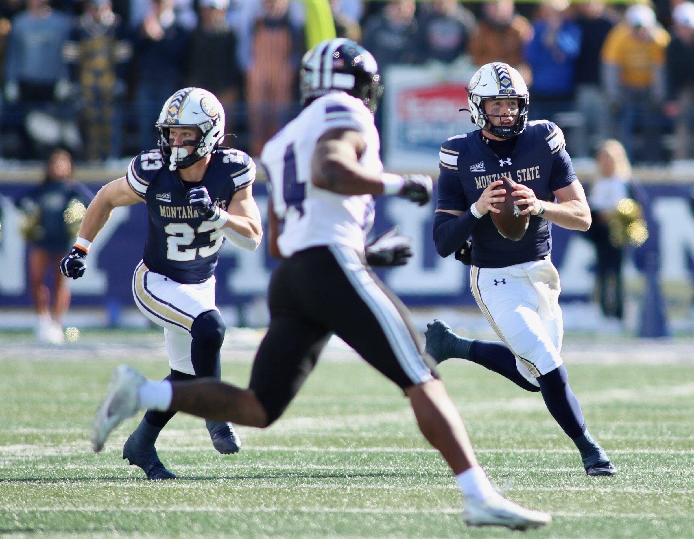 Montana State vs. Weber State football at Bobcat Stadium