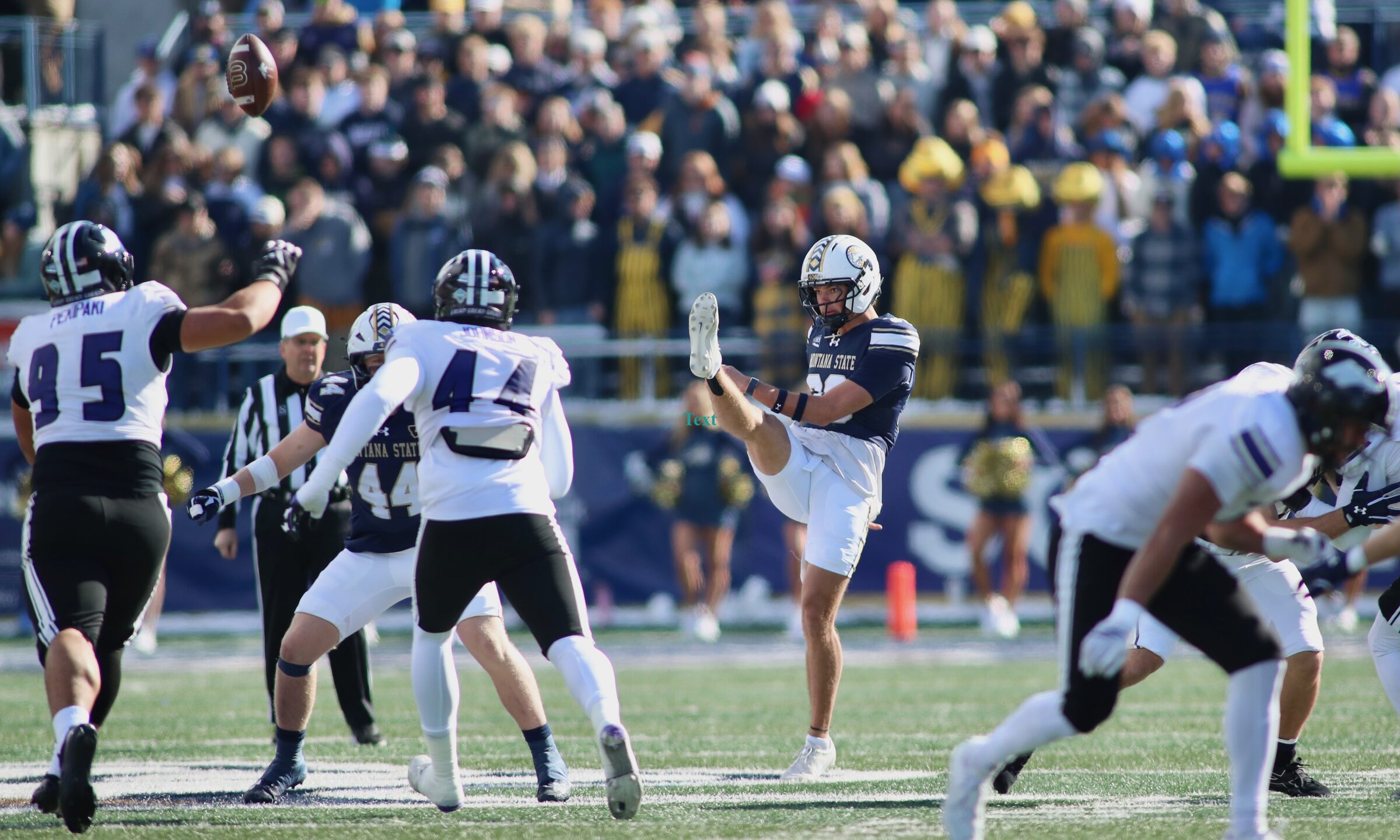 Montana State vs. Weber State football at Bobcat Stadium