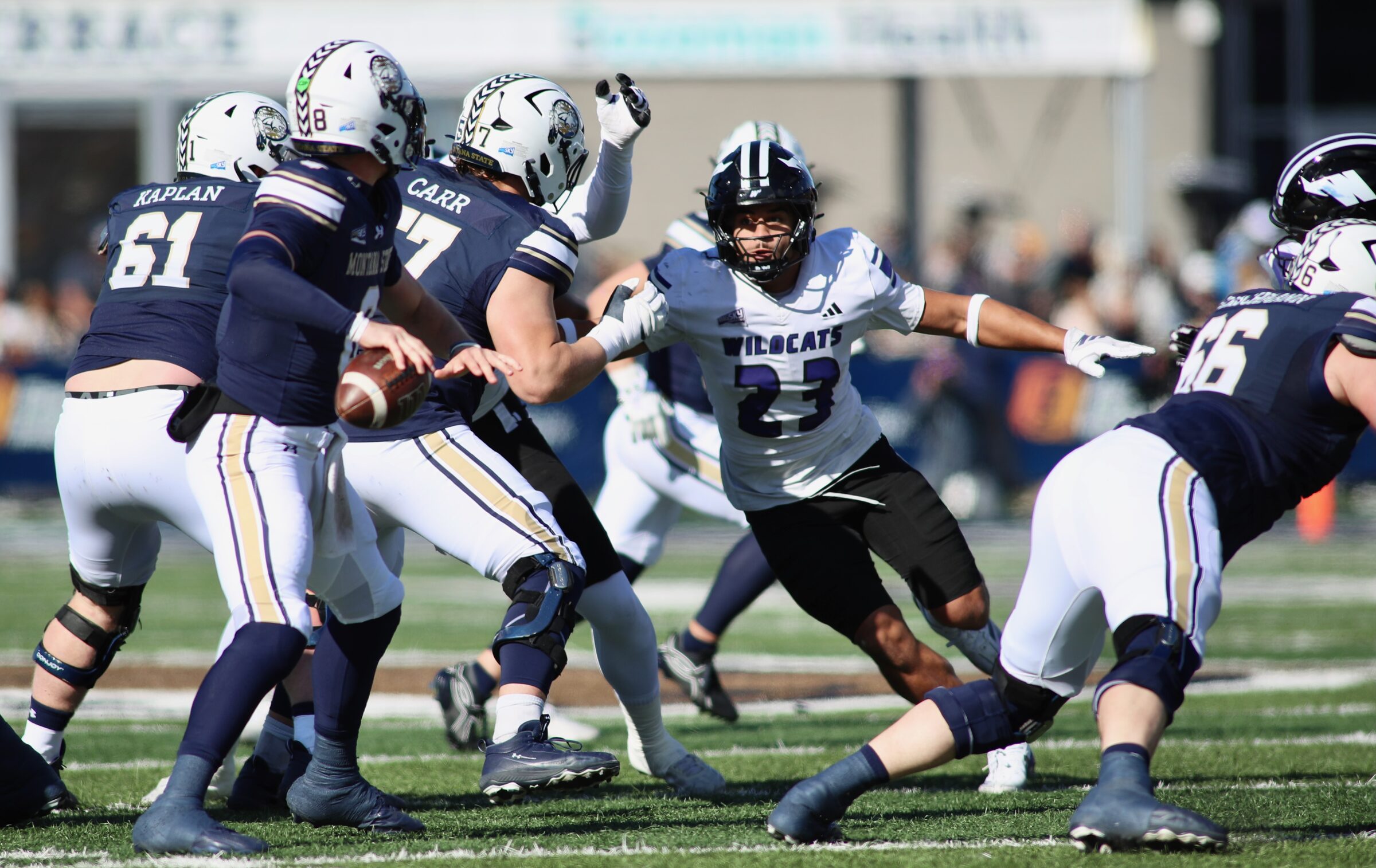 Montana State vs. Weber State football at Bobcat Stadium