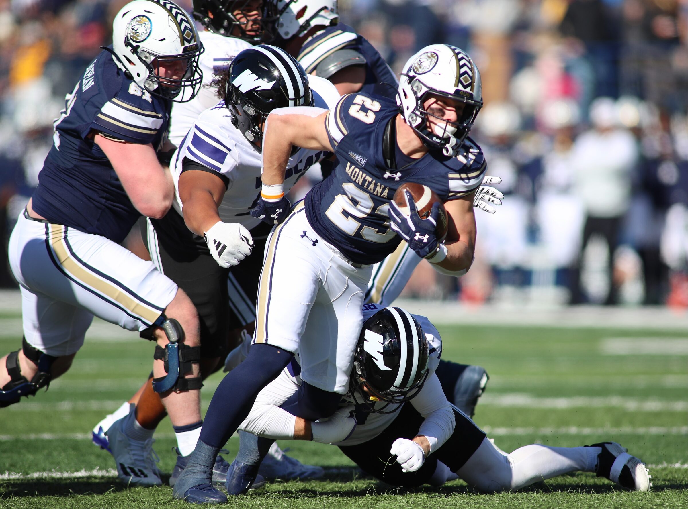 Montana State vs. Weber State football at Bobcat Stadium