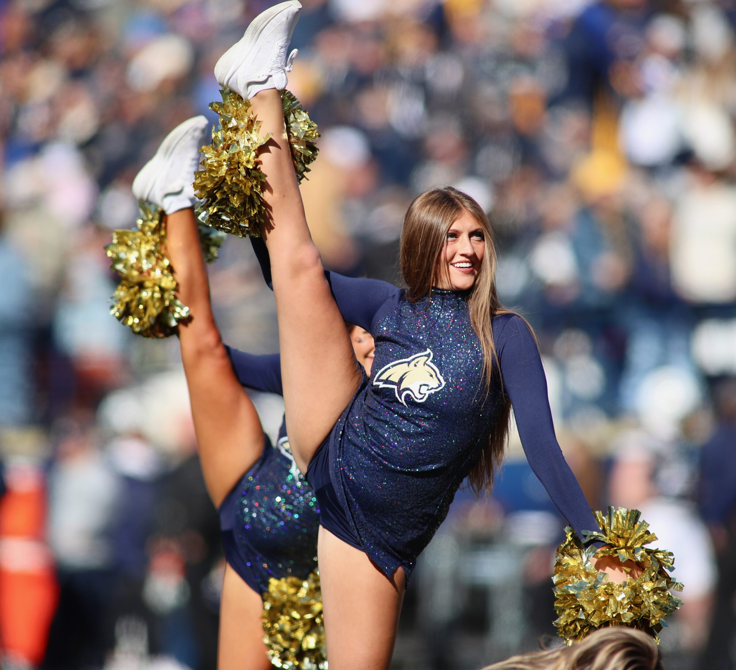 Montana State vs. Weber State football at Bobcat Stadium