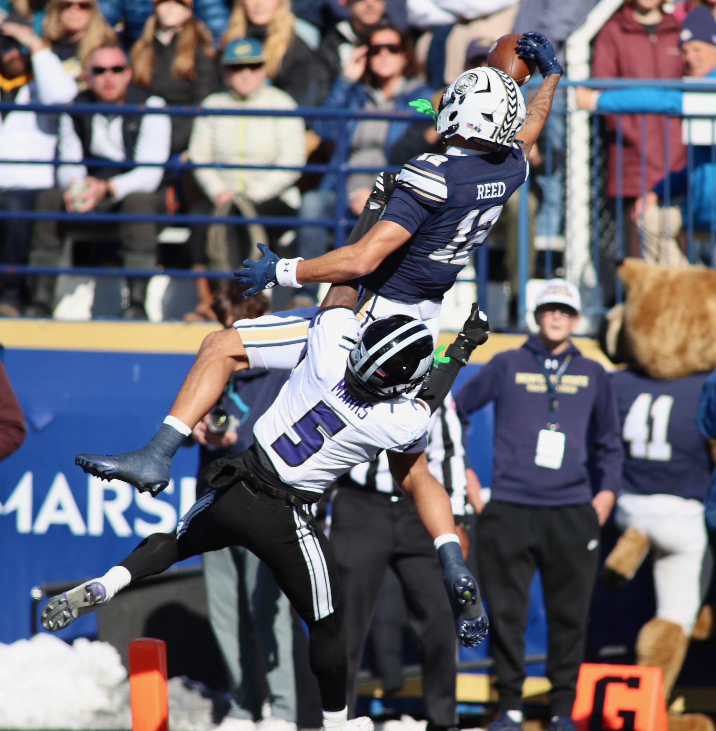 Montana State vs. Weber State football at Bobcat Stadium