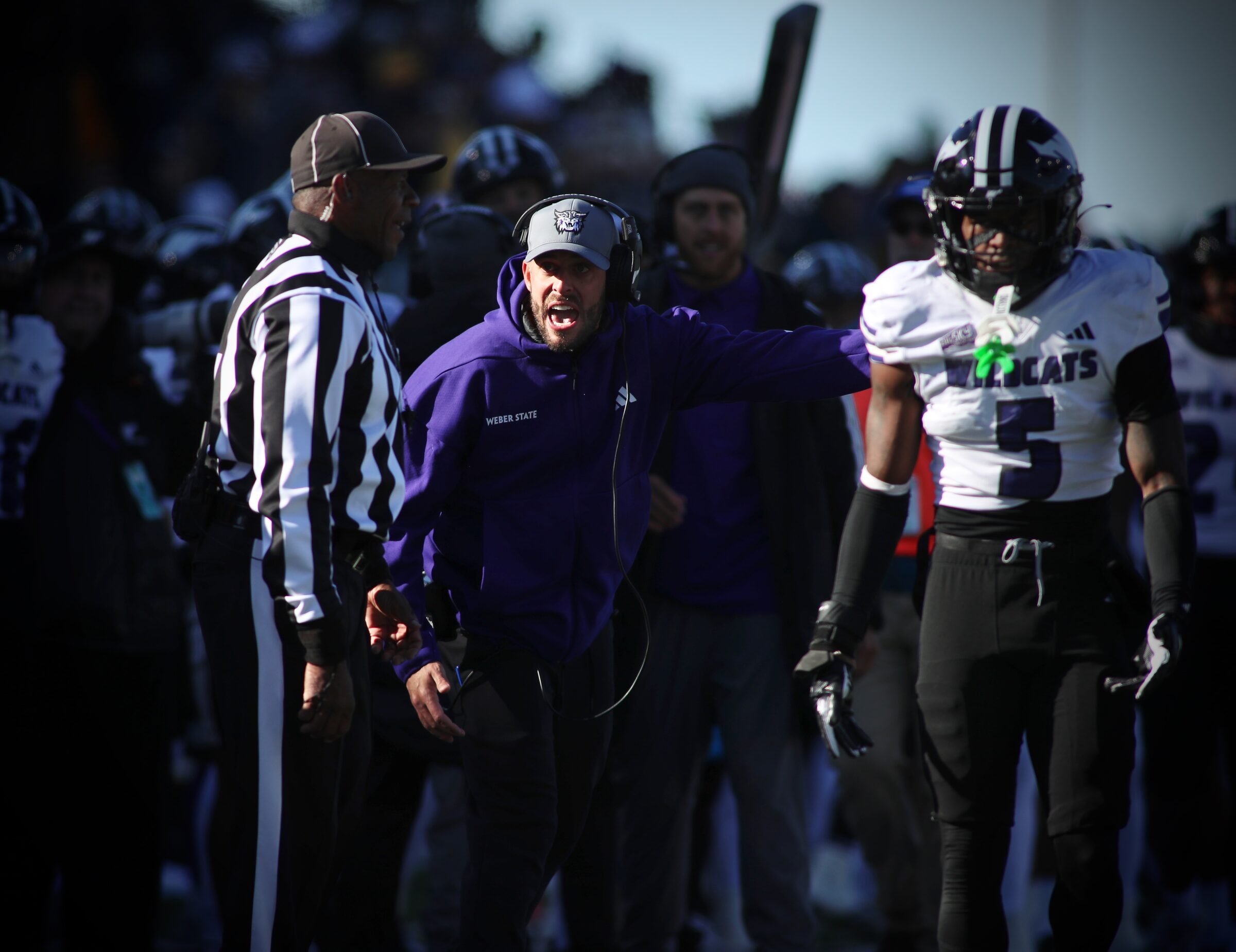 Montana State vs. Weber State football at Bobcat Stadium