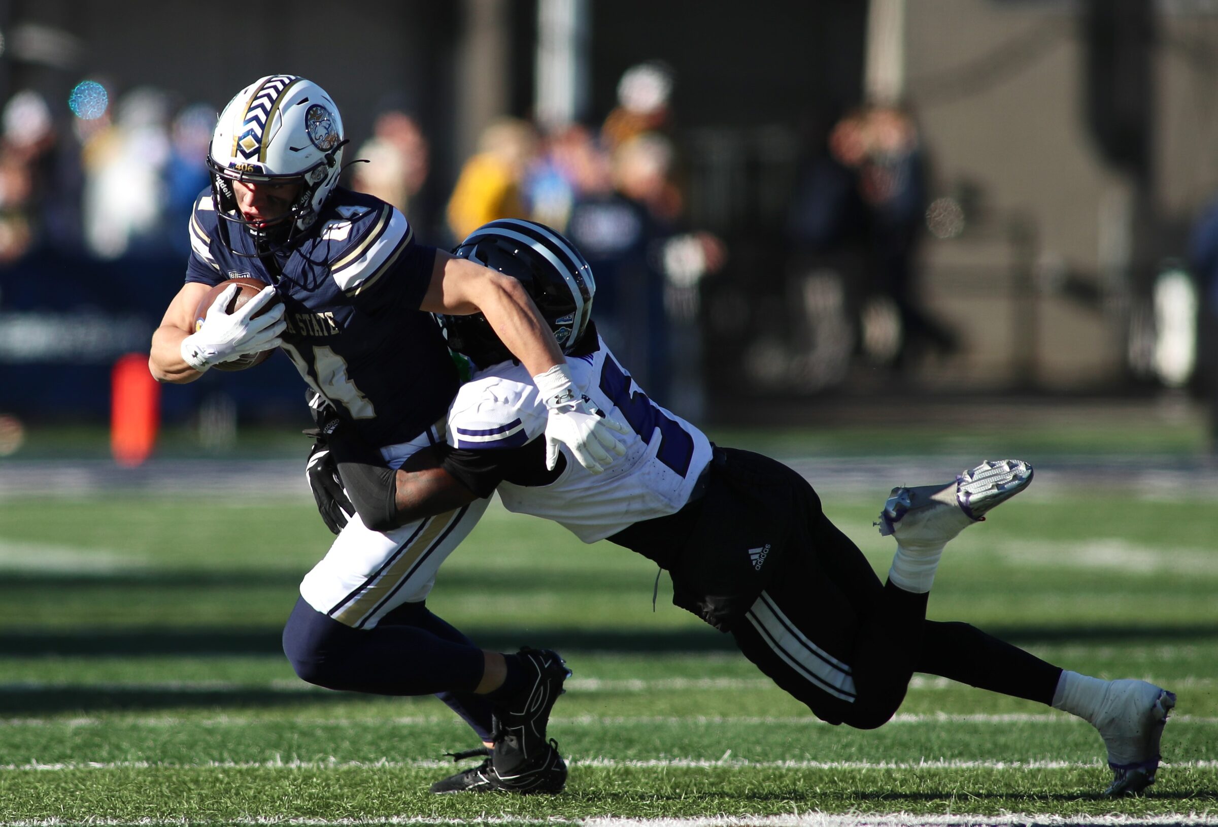Montana State vs. Weber State football at Bobcat Stadium