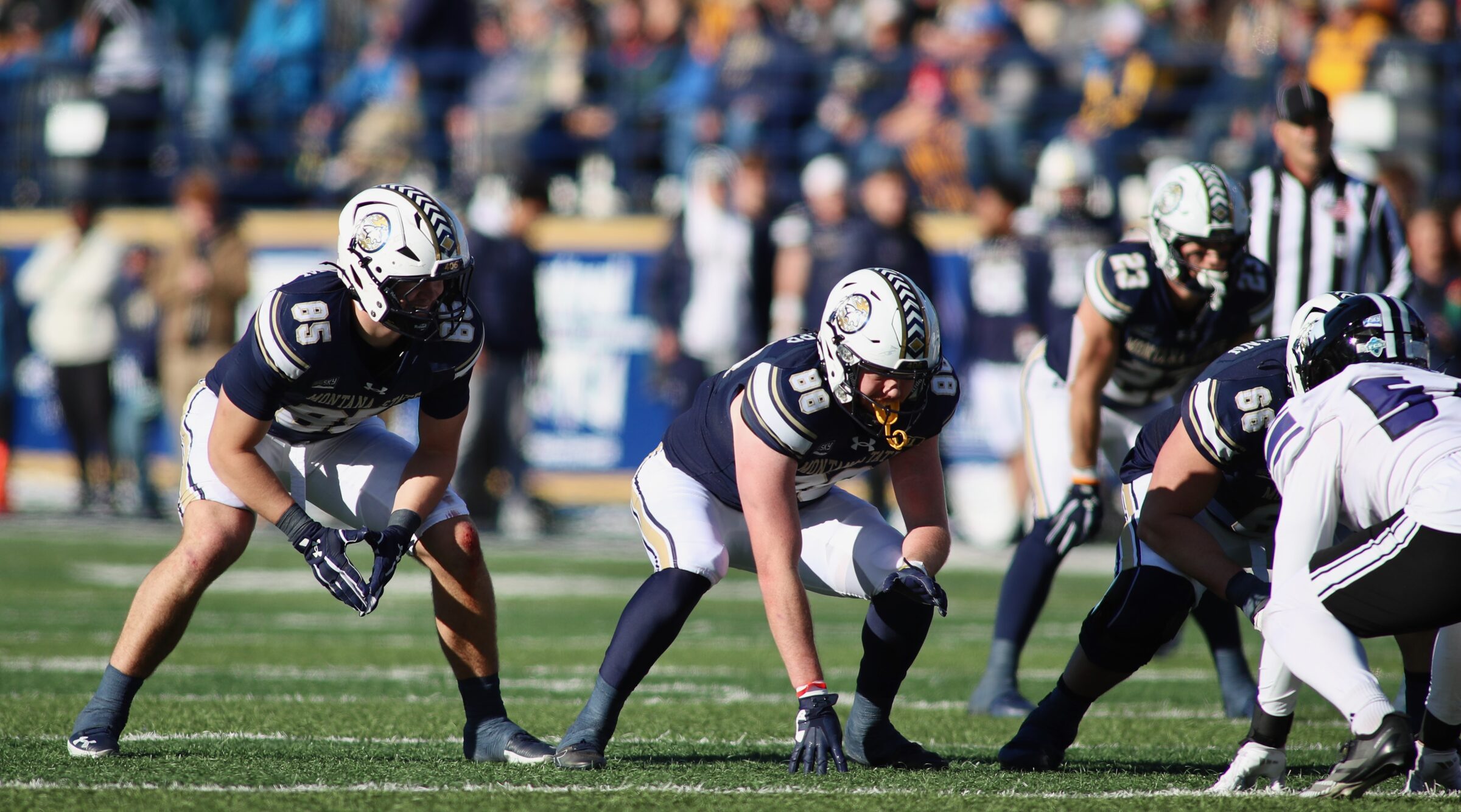 Montana State vs. Weber State football at Bobcat Stadium
