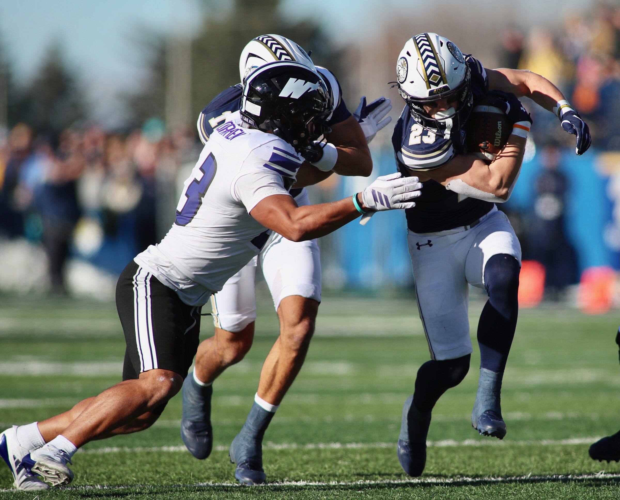 Montana State vs. Weber State football at Bobcat Stadium