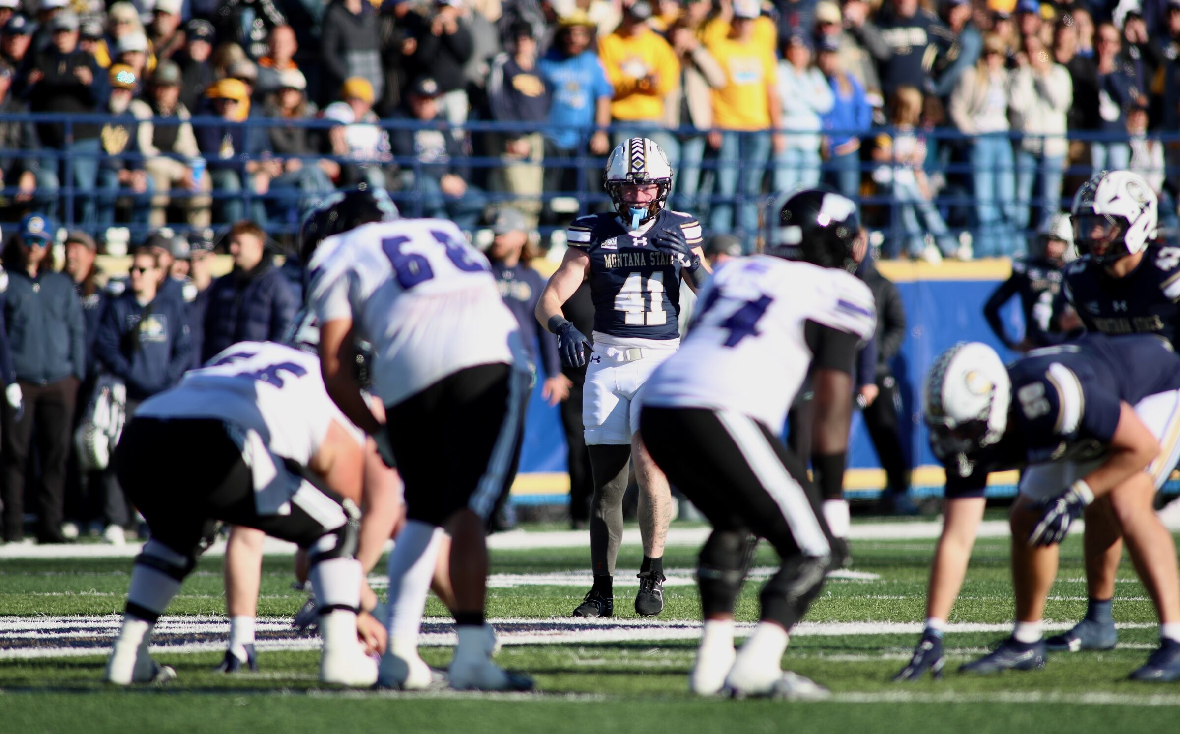 Montana State vs. Weber State football at Bobcat Stadium