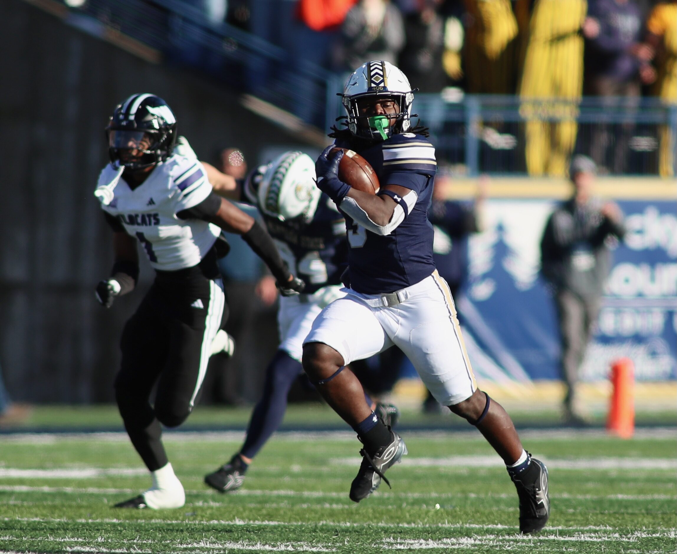 Montana State vs. Weber State football at Bobcat Stadium
