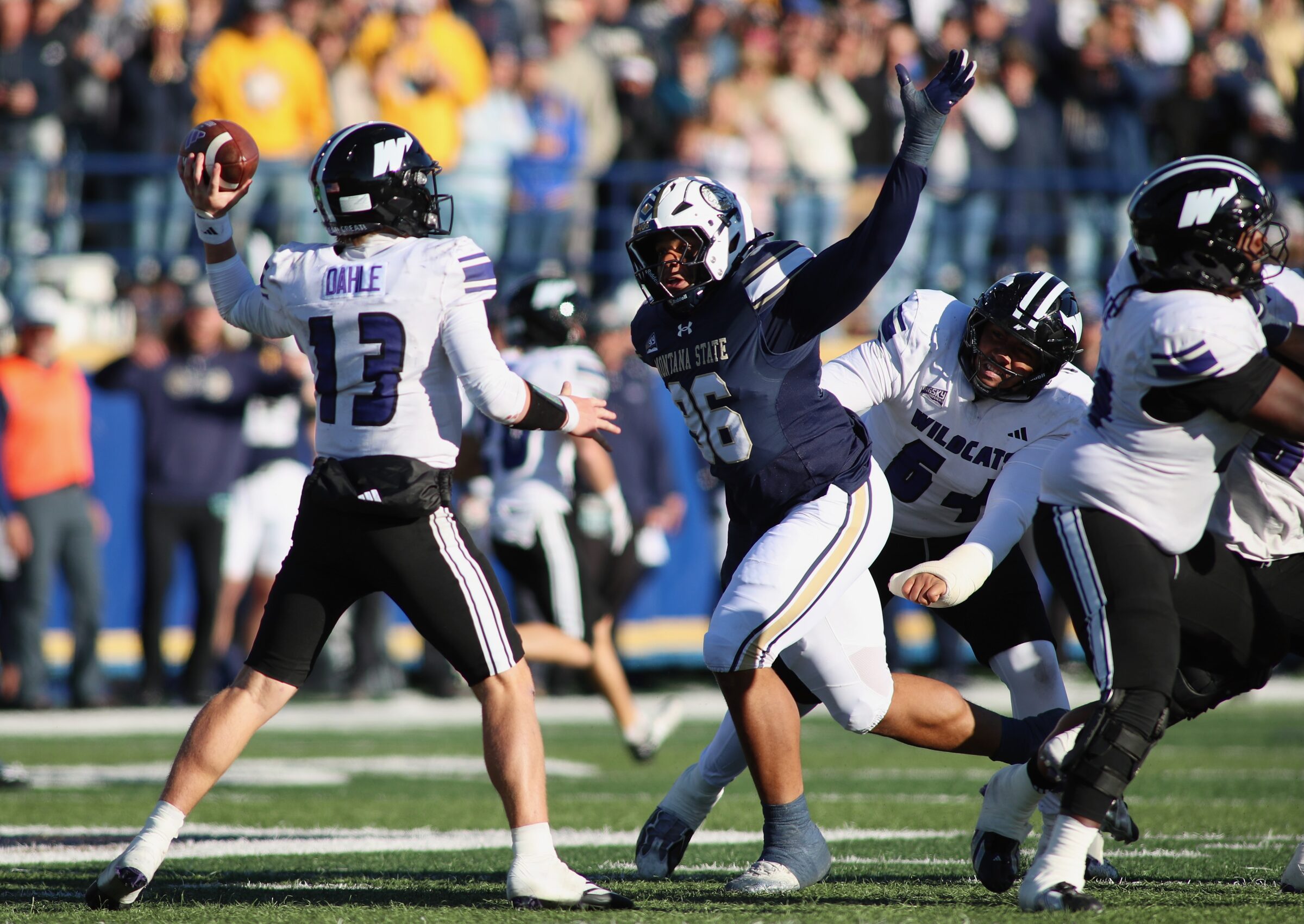 Montana State vs. Weber State football at Bobcat Stadium