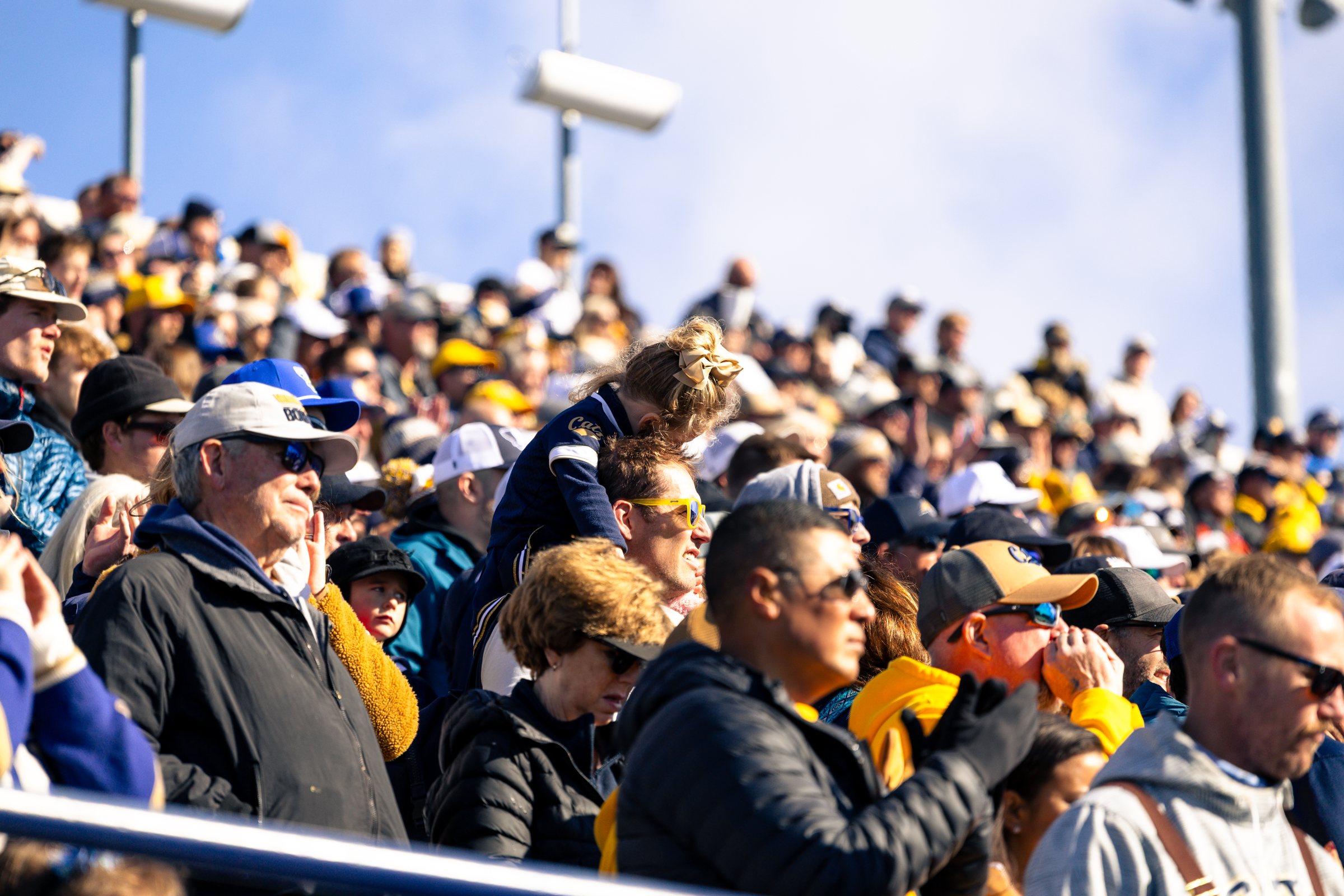 Bobcat fans watch from the stands