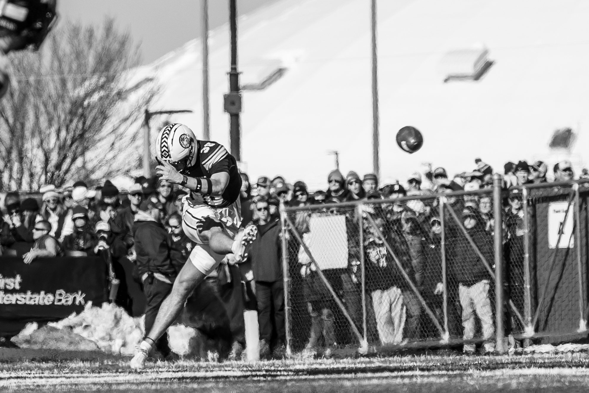 A Bobcat leaps along the sideline